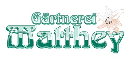Partner-Logo